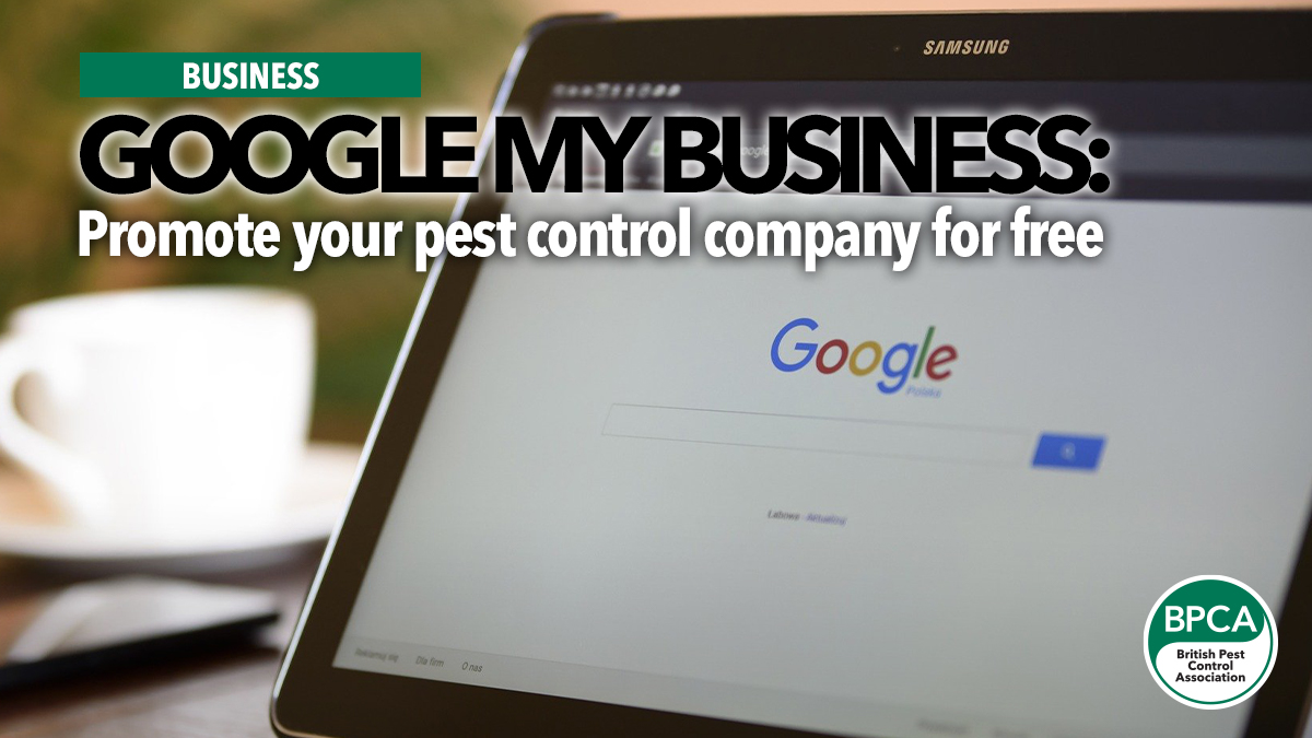 google-my-business